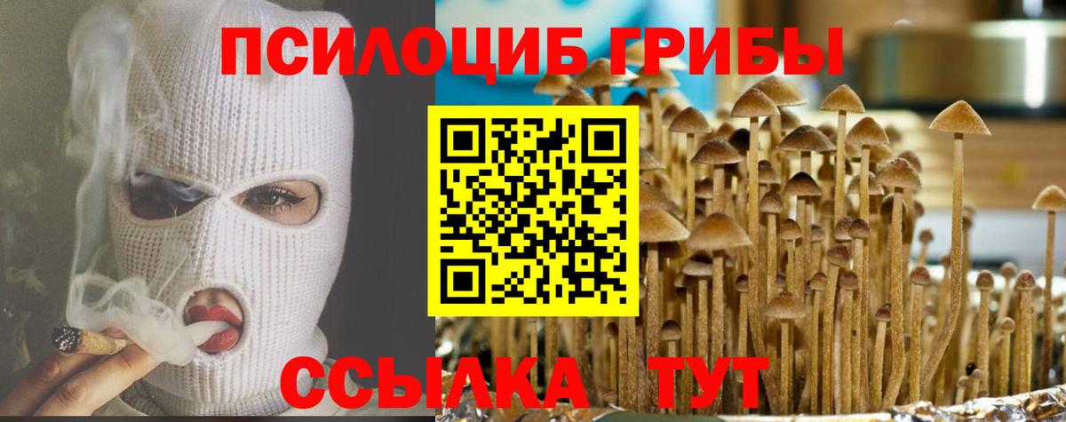 Лесосибирск  Галлюциногенные грибы GOLDEN TEACHER  Вход с VPN  Галлюциногенные грибы Psilocybe 